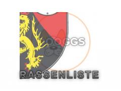 Rassenliste & Listenhunde Bundesland Rhein-Pfalz